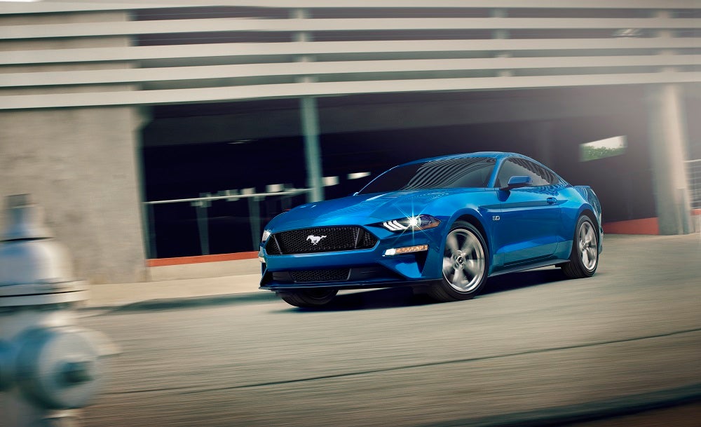2019 Ford Mustang for Sale 