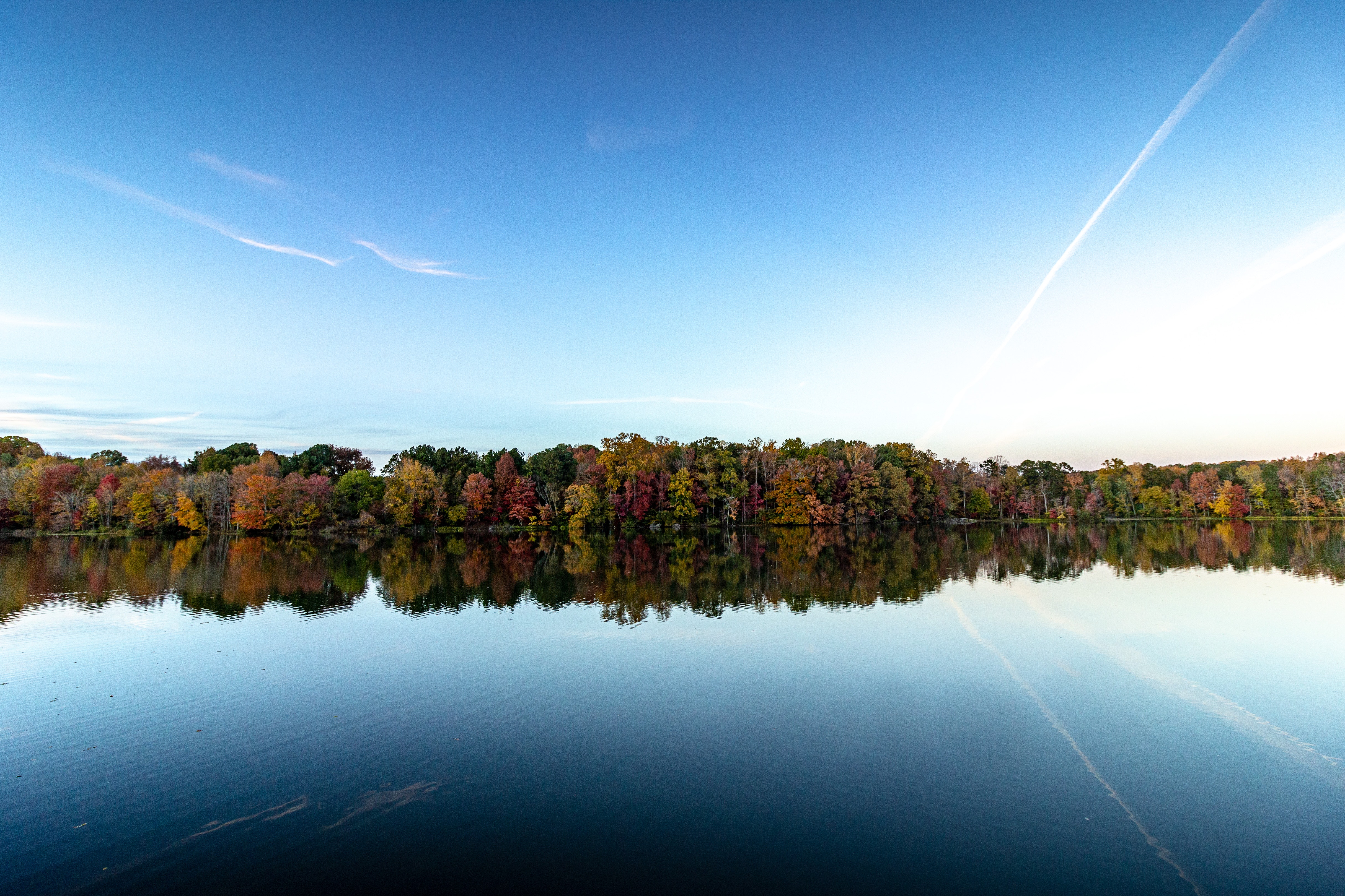 Photo by Hugo Magalhaes from Pexels