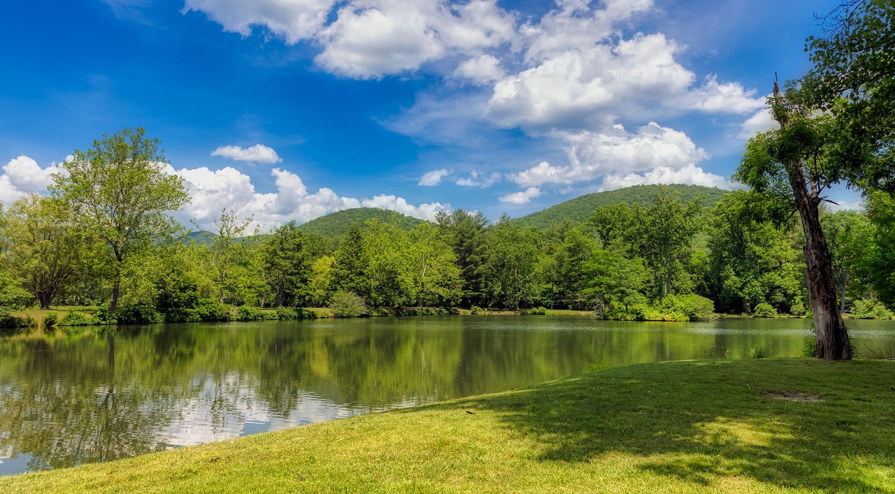 Tree line adjacent to small body of water near Salisbury, NC