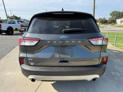 2020 Ford Escape Hybrid SE Sport