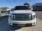 2013 Ford F-150 Platinum