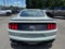 2023 Ford Mustang Mach 1