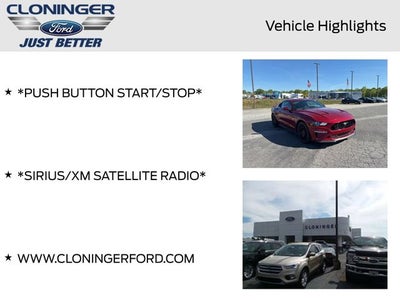 2019 Ford Mustang GT