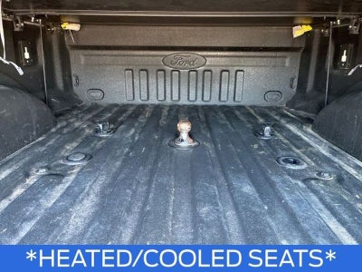 2022 Ford F-250 Platinum