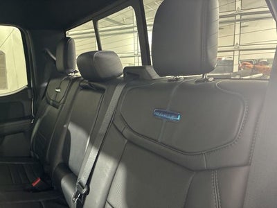 2025 Ford F-150 Platinum