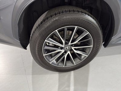 2023 Lexus NX 350 Premium