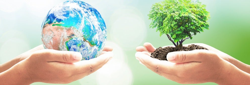 Earth Day at the Charlotte Museum of History 